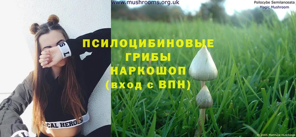 прущая мука Волоколамск